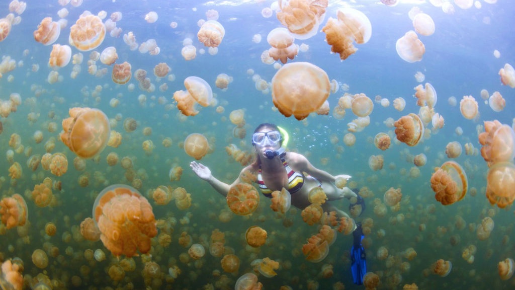 Nhung diem lan bien doc dao nhat the gioi anh 6