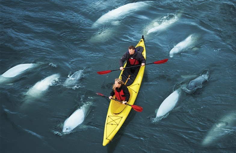 Nhung diem lan bien doc dao nhat the gioi anh 7