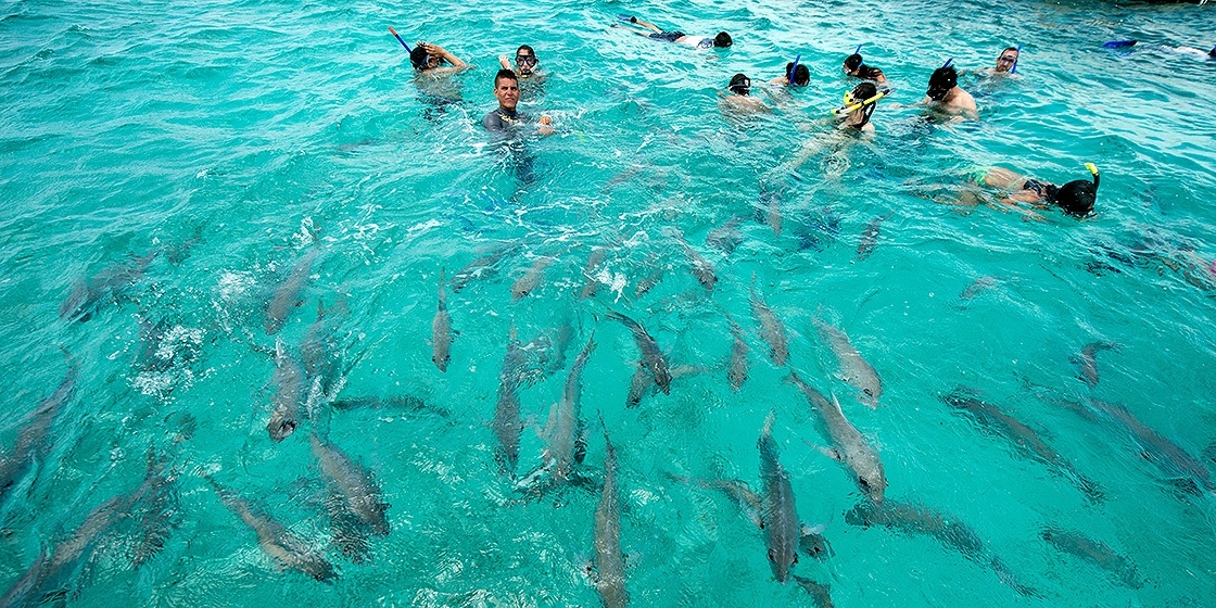 Nhung diem lan bien doc dao nhat the gioi anh 10