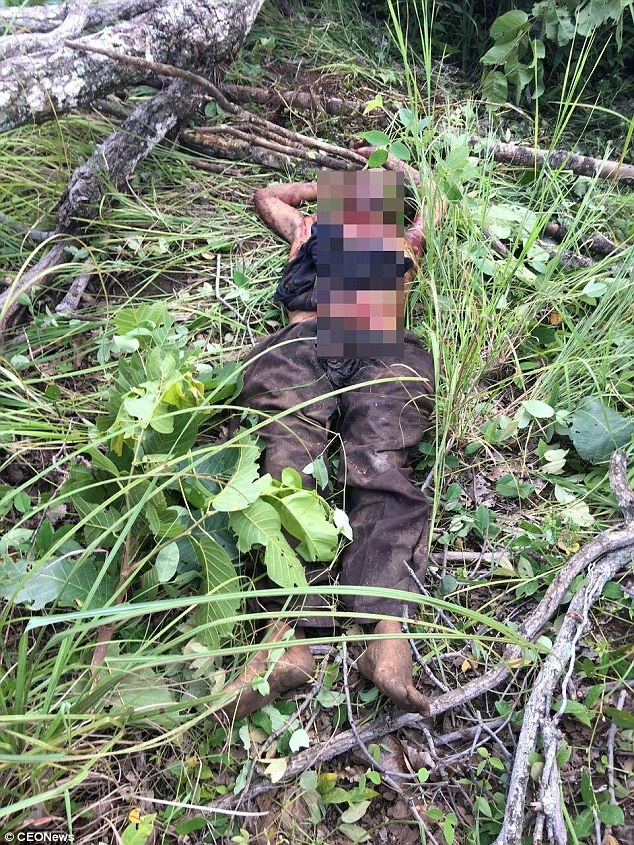 Voi giẫm chết quản tượng bỏ vào rừng theo voi cái ảnh 1 Voi giam chet quan tuong bo vao rung theo voi cai anh 1