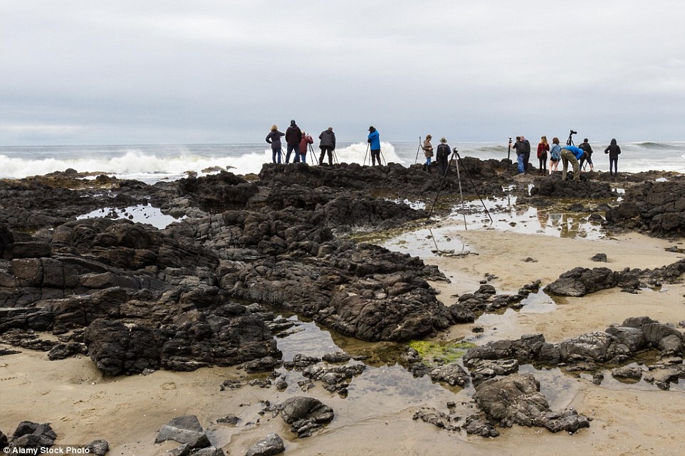Gieng than Thor ky la hut nuoc giua thuy trieu anh 4