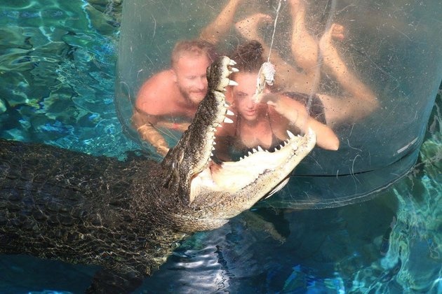 Boi cung ca sau khong lo trong Long tu than anh 2