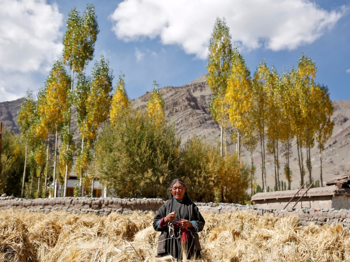 Cộng đồng Phật giáo trên dãy Himalaya ảnh 11 Cong dong Phat giao tren day Himalaya anh 11