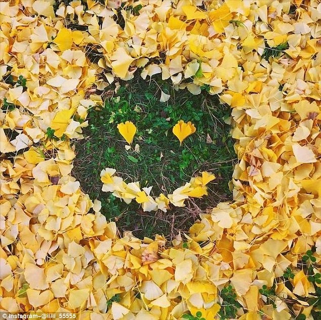 Những hình xếp độc đáo từ lá rụng ở Nhật Bản ảnh 12 Nhung hinh xep doc dao tu la rung o Nhat Ban anh 12