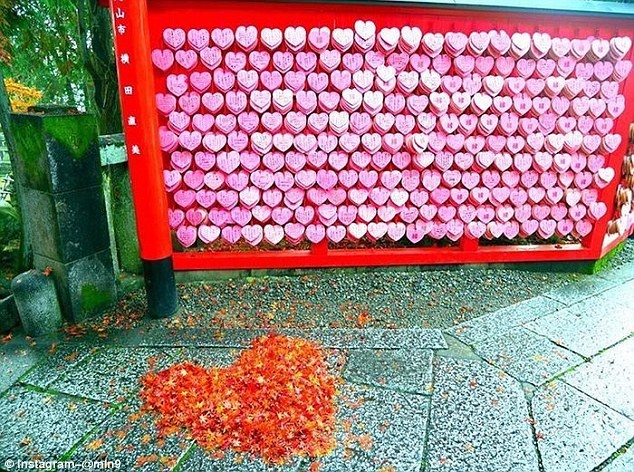 Những hình xếp độc đáo từ lá rụng ở Nhật Bản ảnh 9 Nhung hinh xep doc dao tu la rung o Nhat Ban anh 9