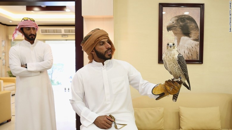 Benh vien chim ung lon nhat the gioi o Abu Dhabi hinh anh