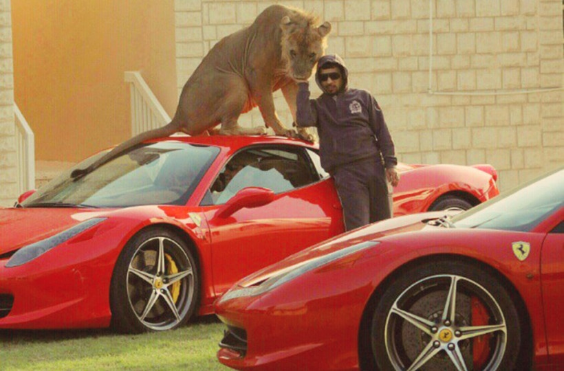 Gioi nha giau UAE bi cam nuoi thu du lam canh hinh anh