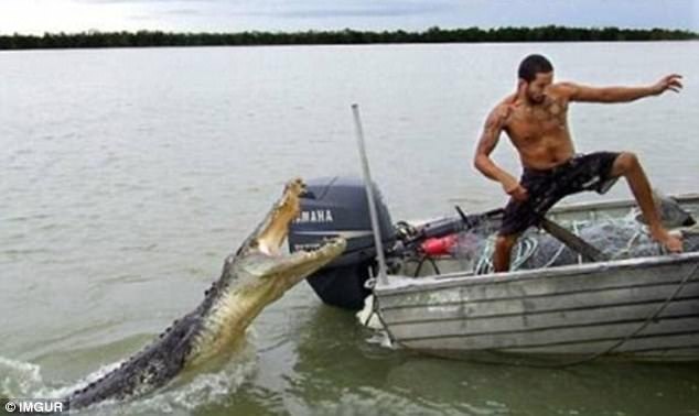 Nhung vu thoat chet ngoan muc hinh anh