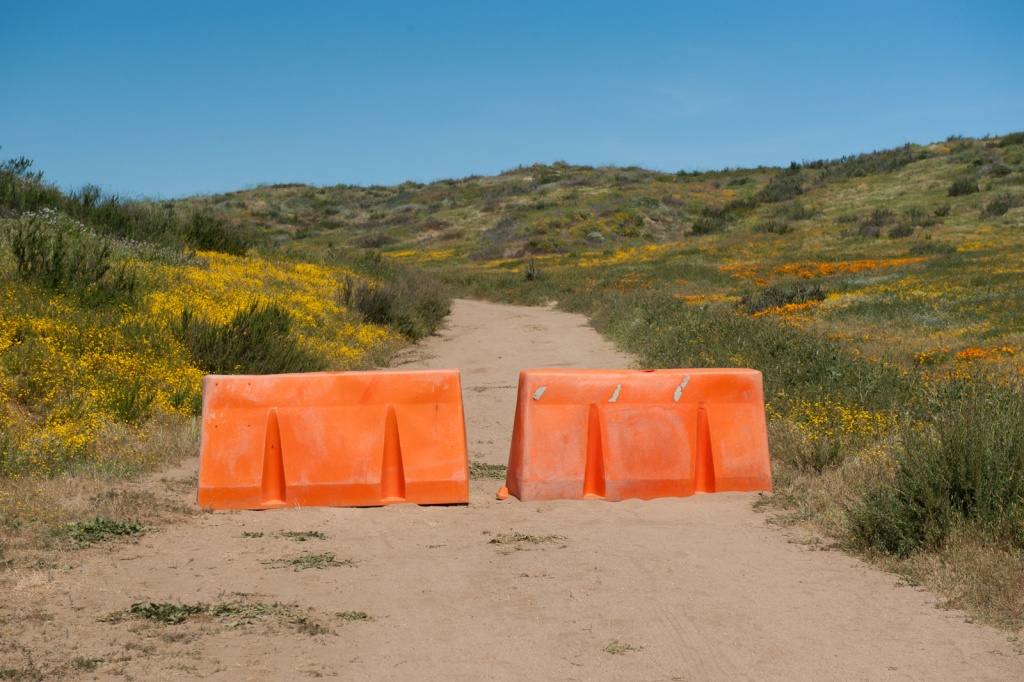 Đường hoa ở Mỹ phải đóng cửa vì bị du khách dẫm ảnh 2 Duong hoa o My phai dong cua vi bi du khach dam anh 2