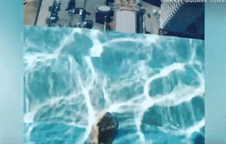 Be boi day kinh dang so nhat the gioi hinh anh