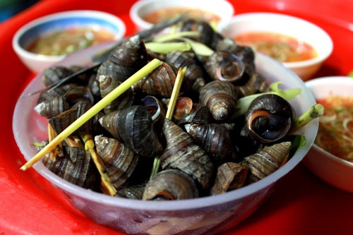 Co nen an oc khi mang thai? hinh anh