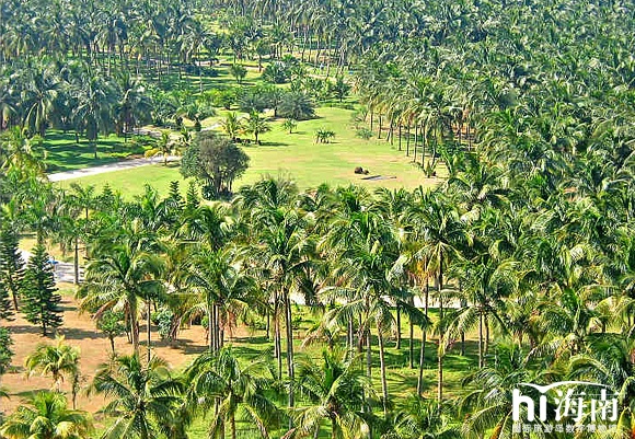 Bo phim Tay Du Ky huyen thoai quay o dau anh 8