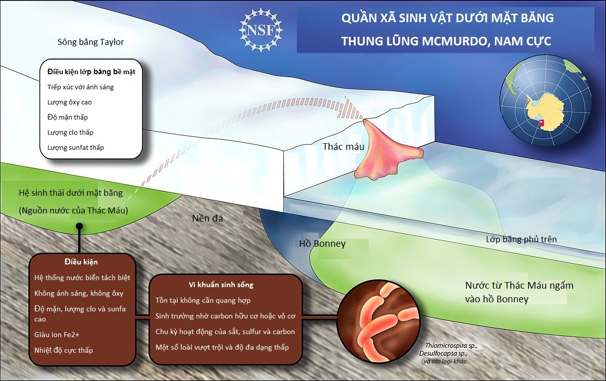 Thac mau bi an o Nam Cuc anh 2