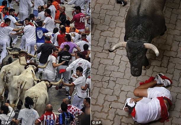 Mat toi cua cua nhung noi hut khach nho dong vat anh 7