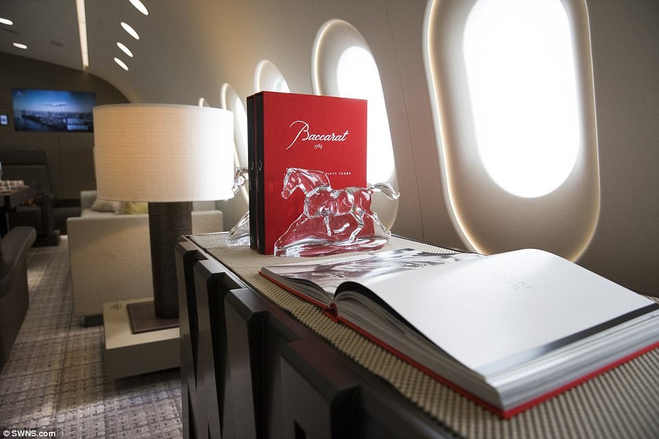 Phi cơ riêng hạng sang lớn nhất thế giới ảnh 13 Phi co rieng hang sang lon nhat the gioi anh 13