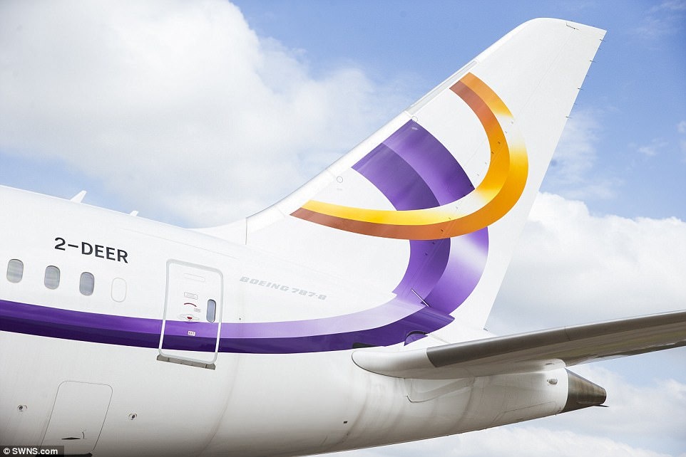 Phi cơ riêng hạng sang lớn nhất thế giới ảnh 15 Phi co rieng hang sang lon nhat the gioi anh 15