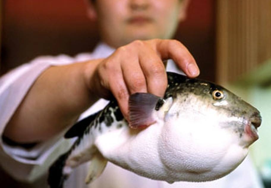 Nghe thuat che bien ca noc doc o Nhat hinh anh