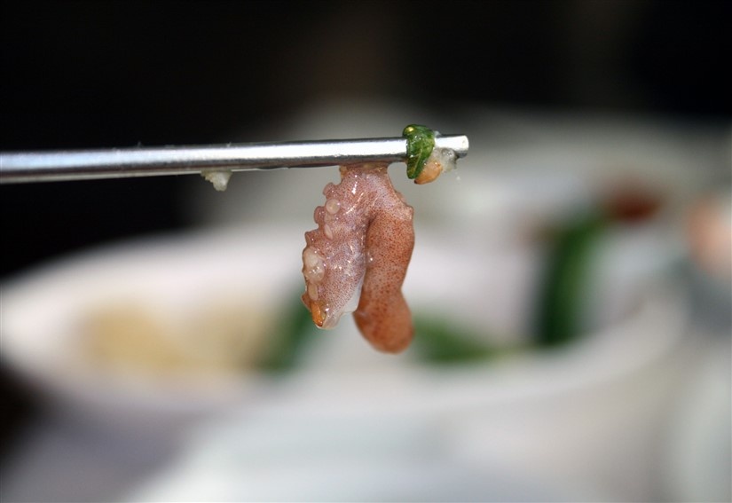 Bach tuoc song - dac san chet nguoi cua Han Quoc anh 8