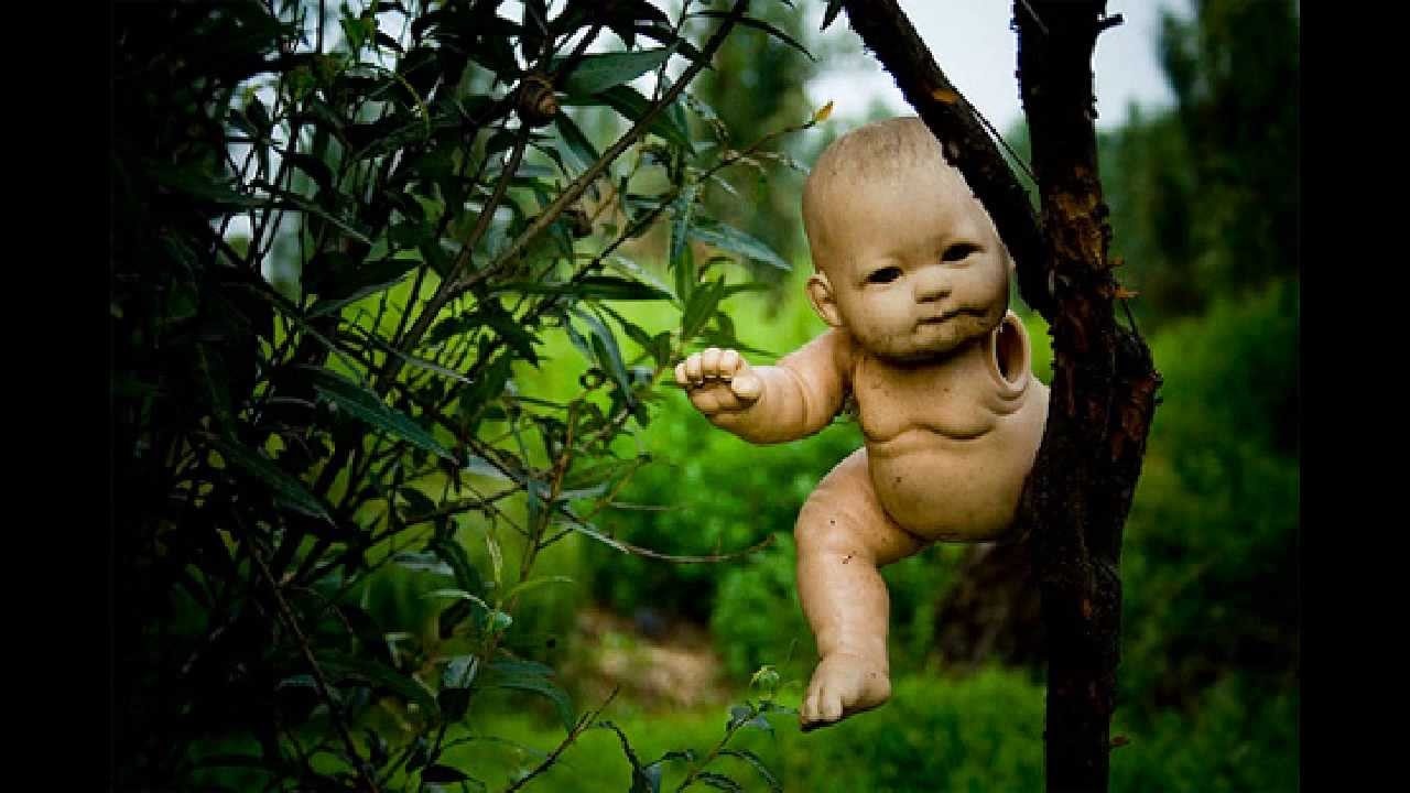 Nhung dia danh rung ron tren the gioi anh 5