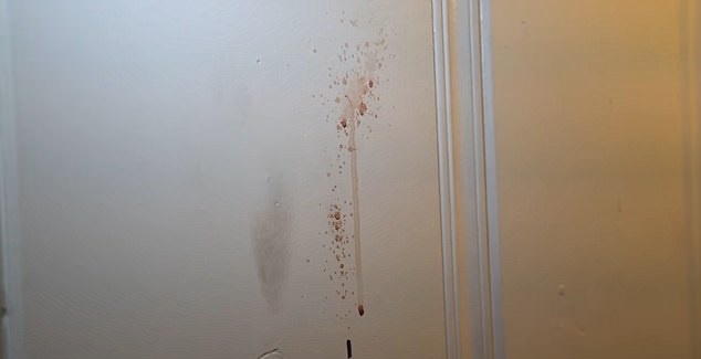 Phong khach san te hai nhu hien truong an mang hinh anh