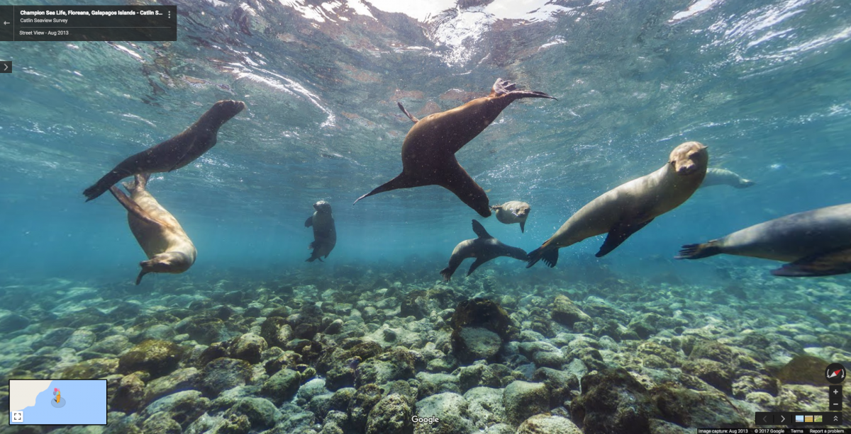 Khung canh ky vi cua trai dat qua Google Street View anh 9