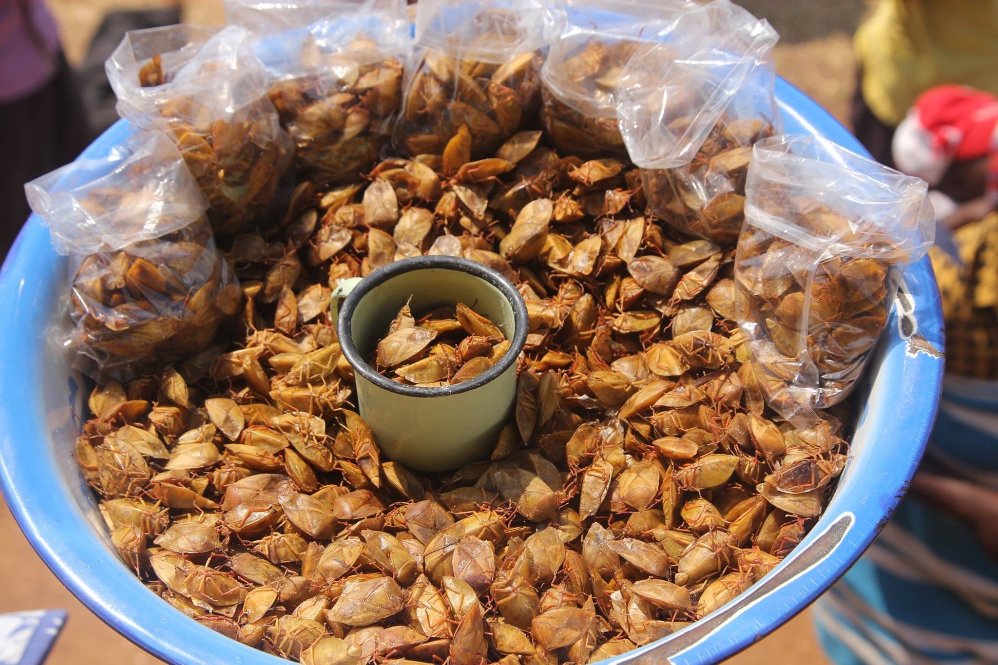 Những đặc sản đáng sợ trên thế giới ảnh 10 Nhung dac san dang so tren the gioi anh 10