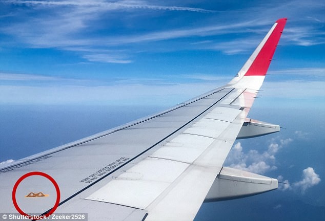 Nhung mon do ky la co the cuu mang ca may bay anh 1