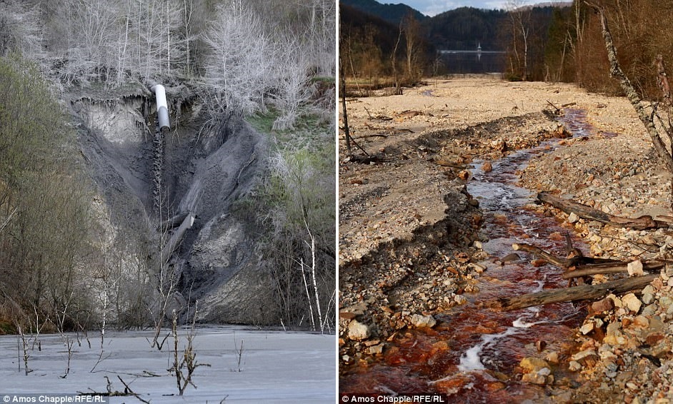 Ngoi lang chim nghim trong nuoc thai tu mo dong anh 10