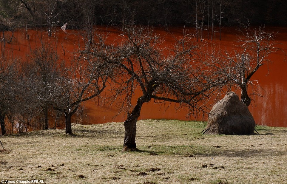 Ngoi lang chim nghim trong nuoc thai tu mo dong anh 11