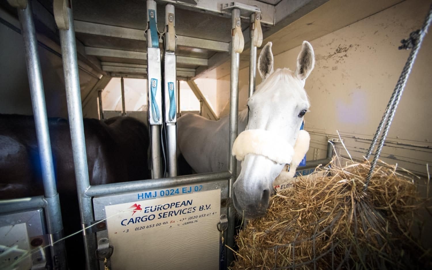 Nhung bat ngo it ai biet ve chuyen bay duong dai anh 2