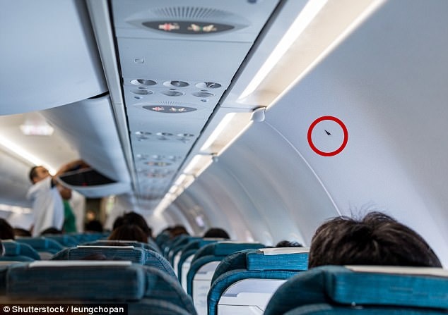 Nhung mon do co the cuu mang khach di may bay hinh anh