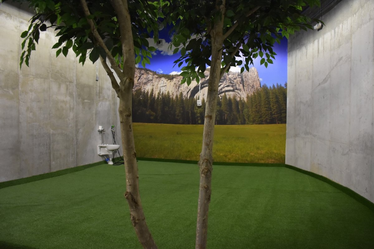 Ben trong khu tru an de phong tan the cho gioi nha giau anh 14