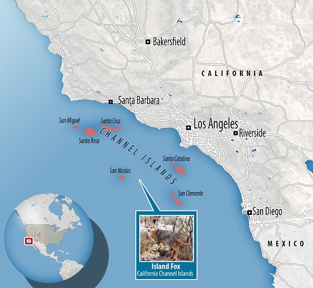 Noi ngam nhung loai vat doc dao tren the gioi anh 2