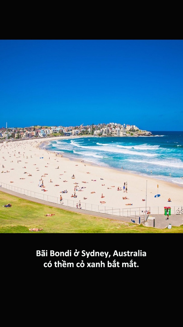 7 bai bien thuc te khac xa trong anh anh 3