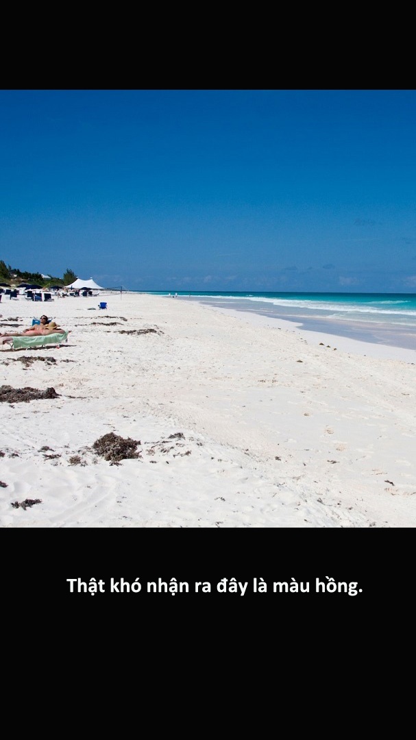 7 bai bien thuc te khac xa trong anh anh 14