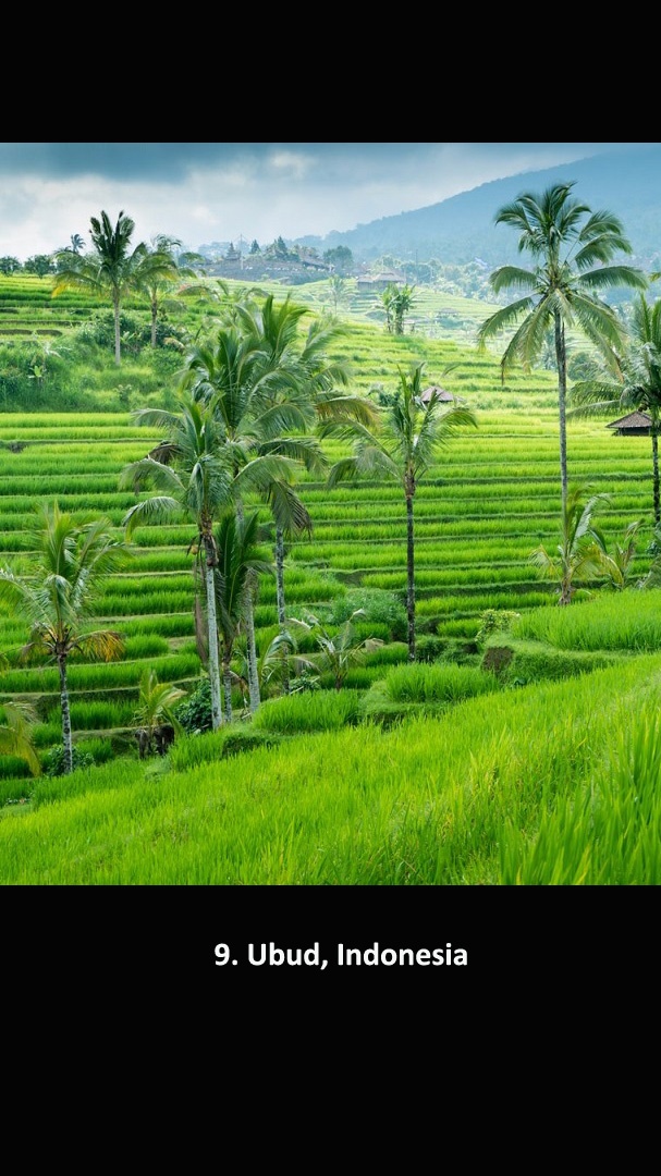 Hội An vào top thành phố tuyệt nhất thế giới ảnh 9 Hoi An vao top thanh pho tuyet nhat the gioi anh 9