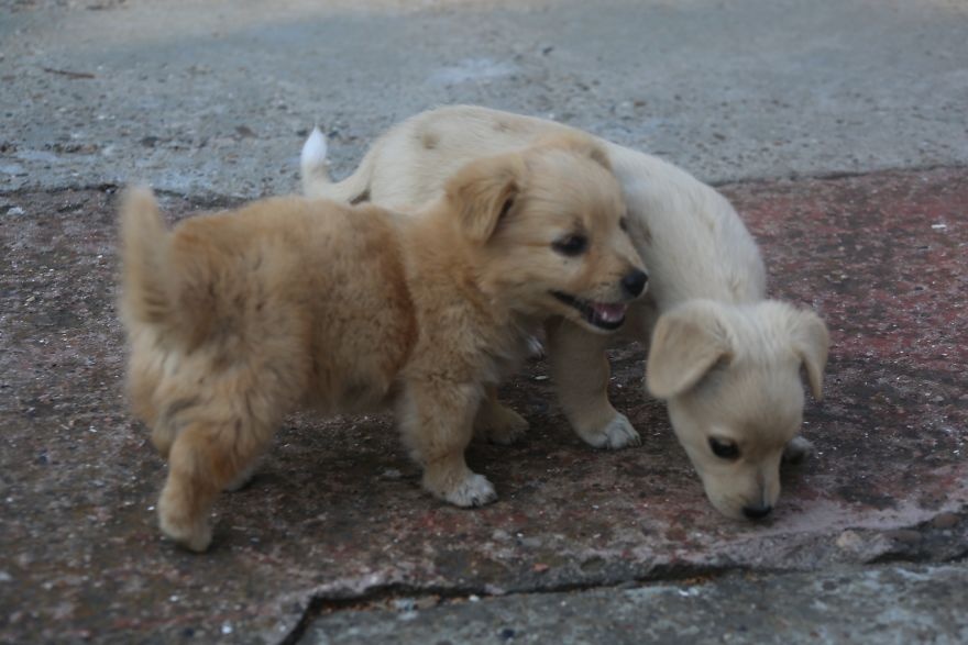 Cuoc song ben trong mot quoc gia khong ton tai anh 12