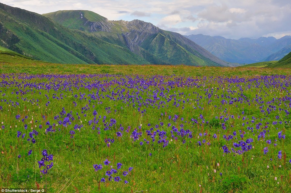 Nhung di san UNESCO moi cua the gioi anh 17