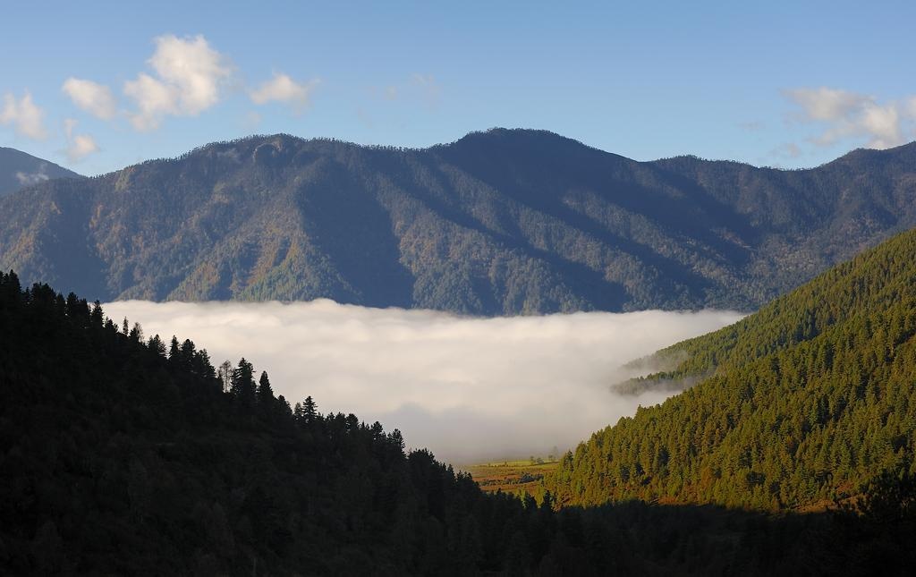 Vuong quoc do hanh phuc,  mien phi tien dien anh 10