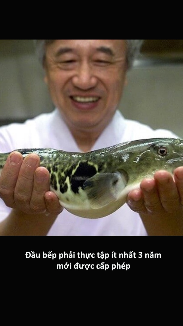 Cac mon hai san cua Nhat khien du khach chun dua anh 3