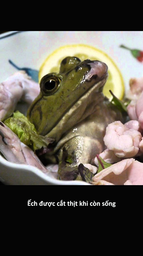 Cac mon hai san cua Nhat khien du khach chun dua anh 5