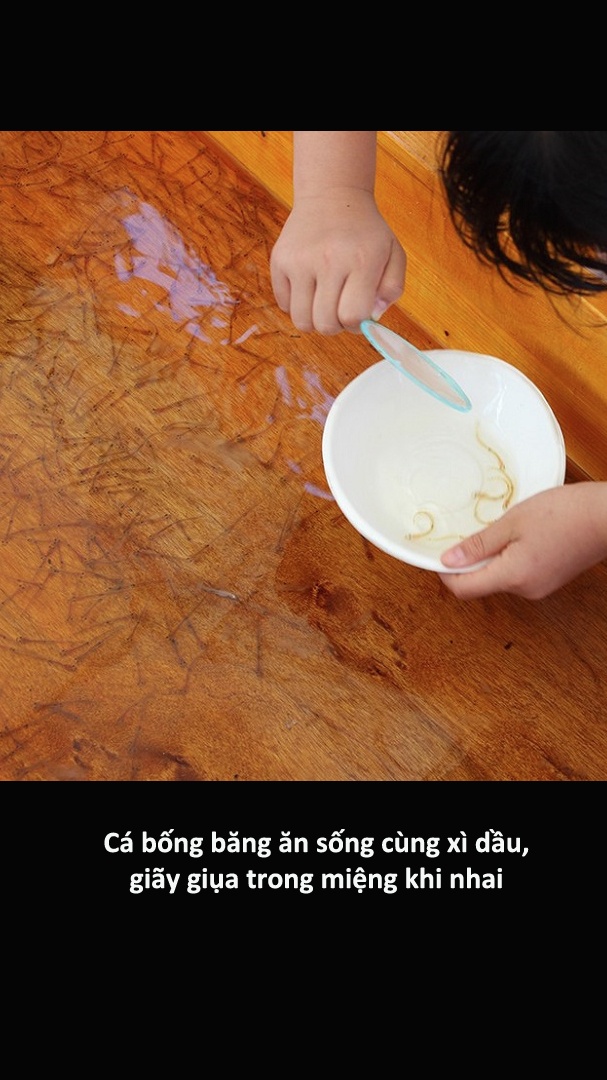 Cac mon hai san cua Nhat khien du khach chun dua anh 14