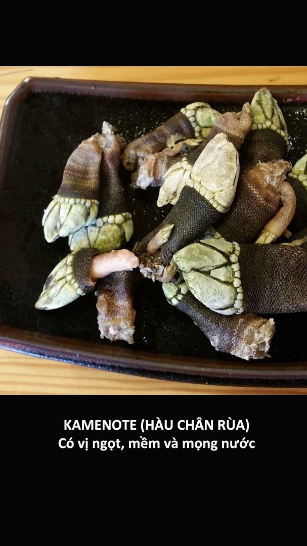 Cac mon hai san cua Nhat khien du khach chun dua anh 15