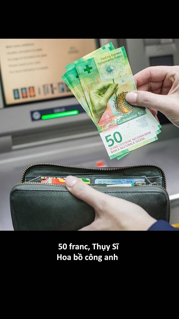 Nhung to tien dep nhat the gioi anh 2