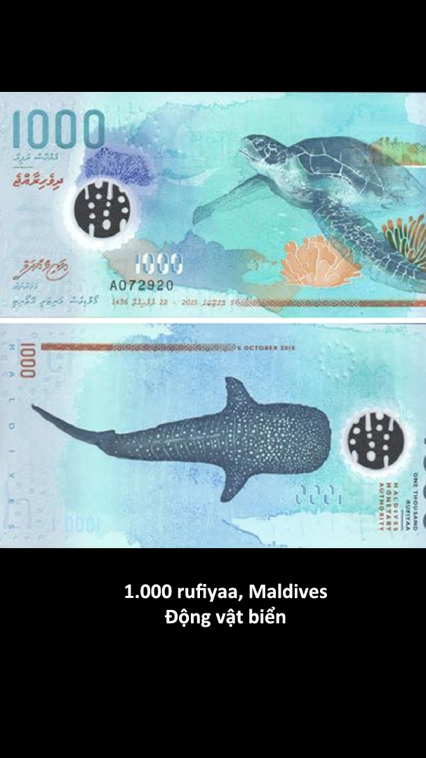 Nhung to tien dep nhat the gioi anh 3