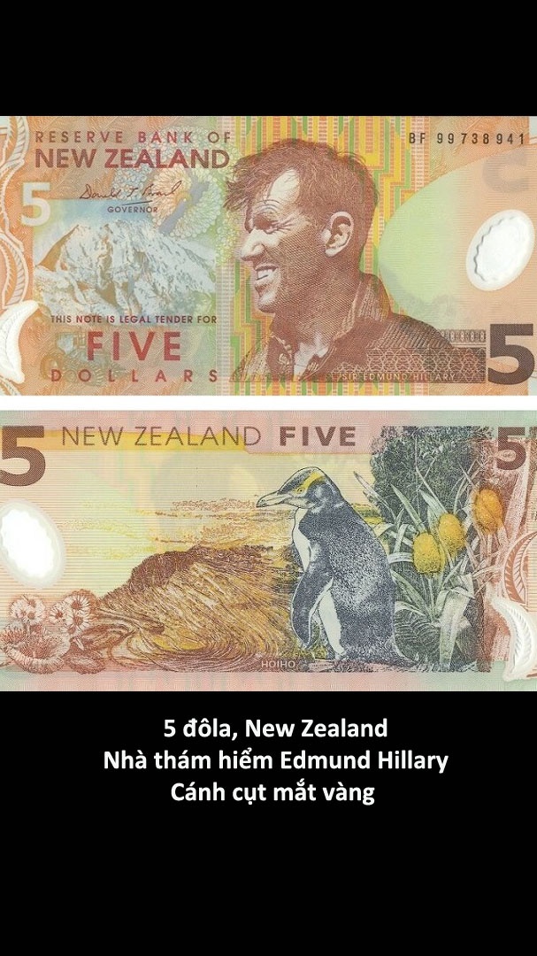 Nhung to tien dep nhat the gioi anh 4