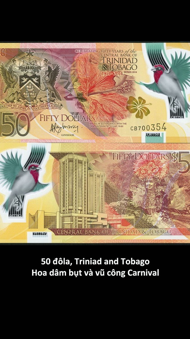 Nhung to tien dep nhat the gioi anh 5