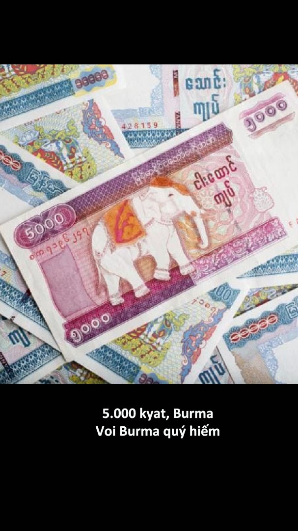 Nhung to tien dep nhat the gioi anh 6