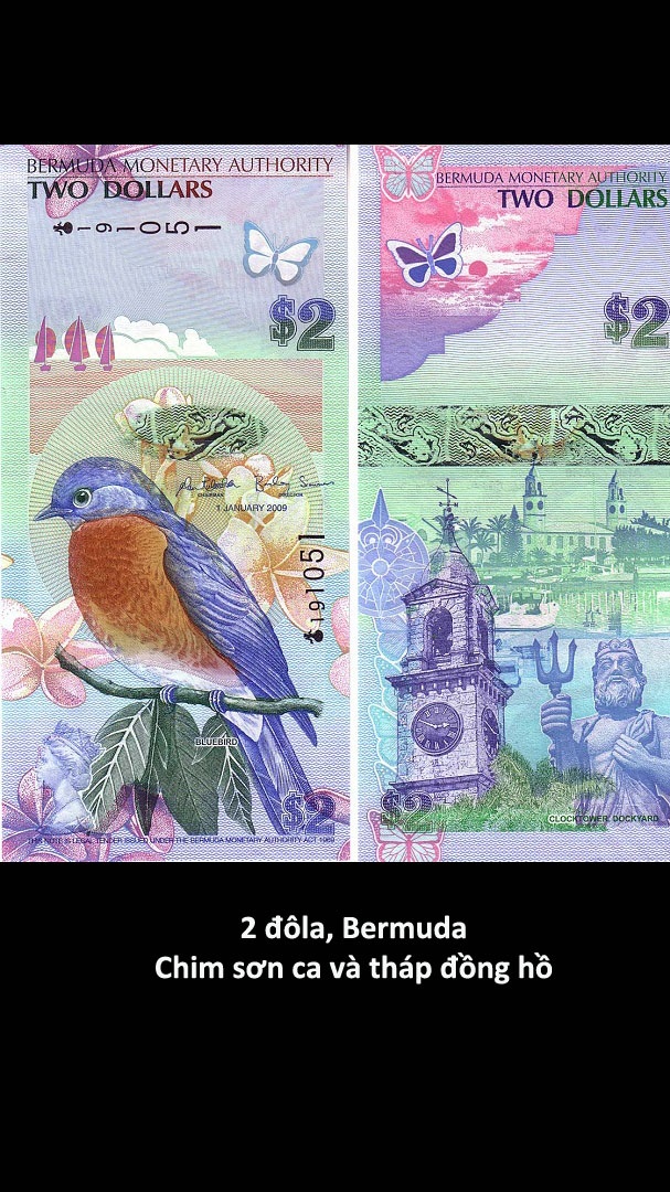 Nhung to tien dep nhat the gioi anh 7