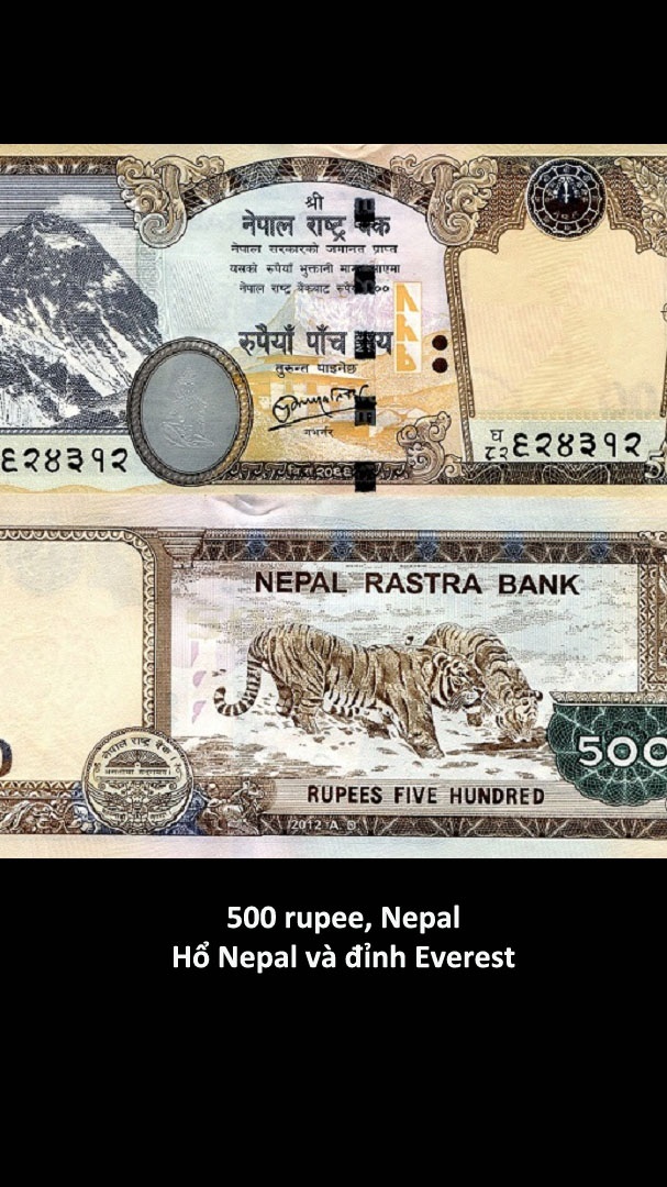 Nhung to tien dep nhat the gioi anh 8